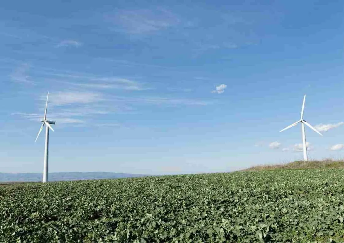 Wind turbines in a field, symbolise renewable energy and sustainability