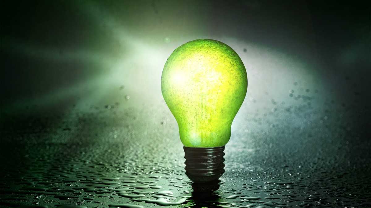 A glowing green light bulb on a wet surface