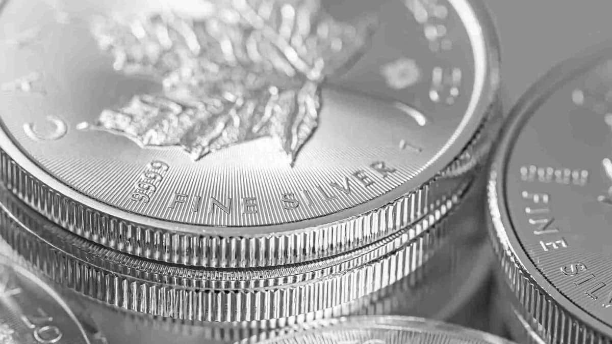 Close look at the features of a fine silver coin