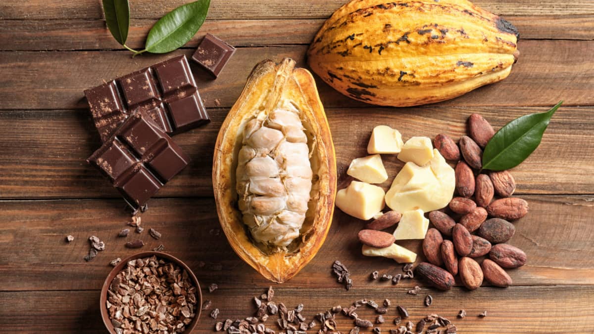 Cocoa pod with cocoa beans on a white background.