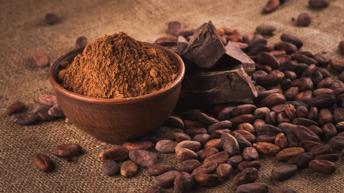 Raw cocoa beans, clay bowl with cocoa powder, chocolate on sacking