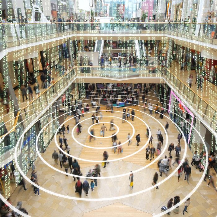 Shoppers in a matrix mall