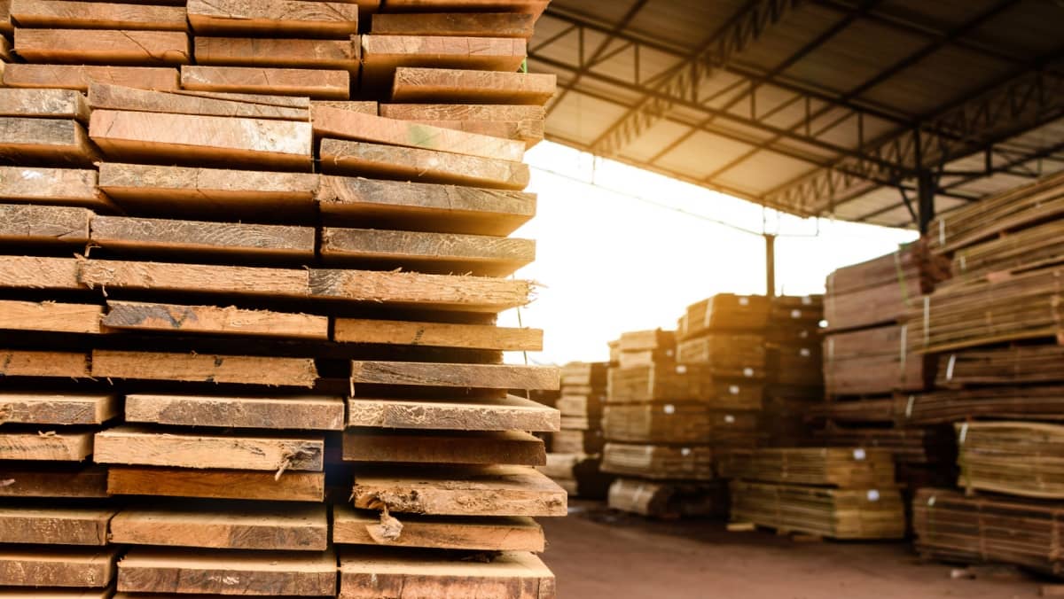 Wood factory stock and lumber board with nature business export 