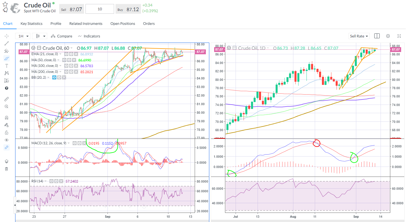 Spot WTI – bull flag