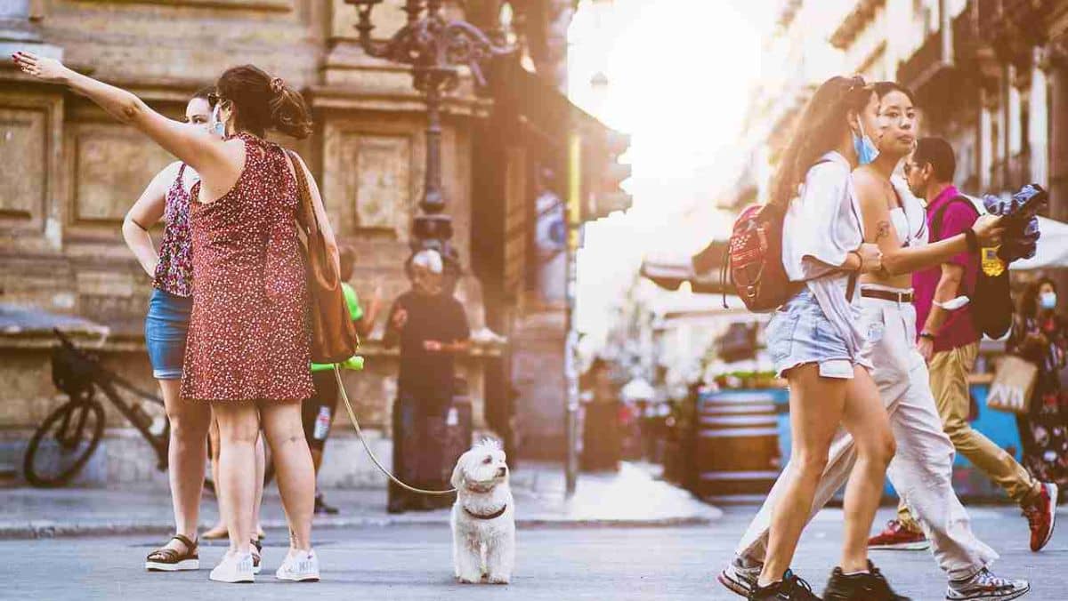 Tourists strolling and conversing along a pathway