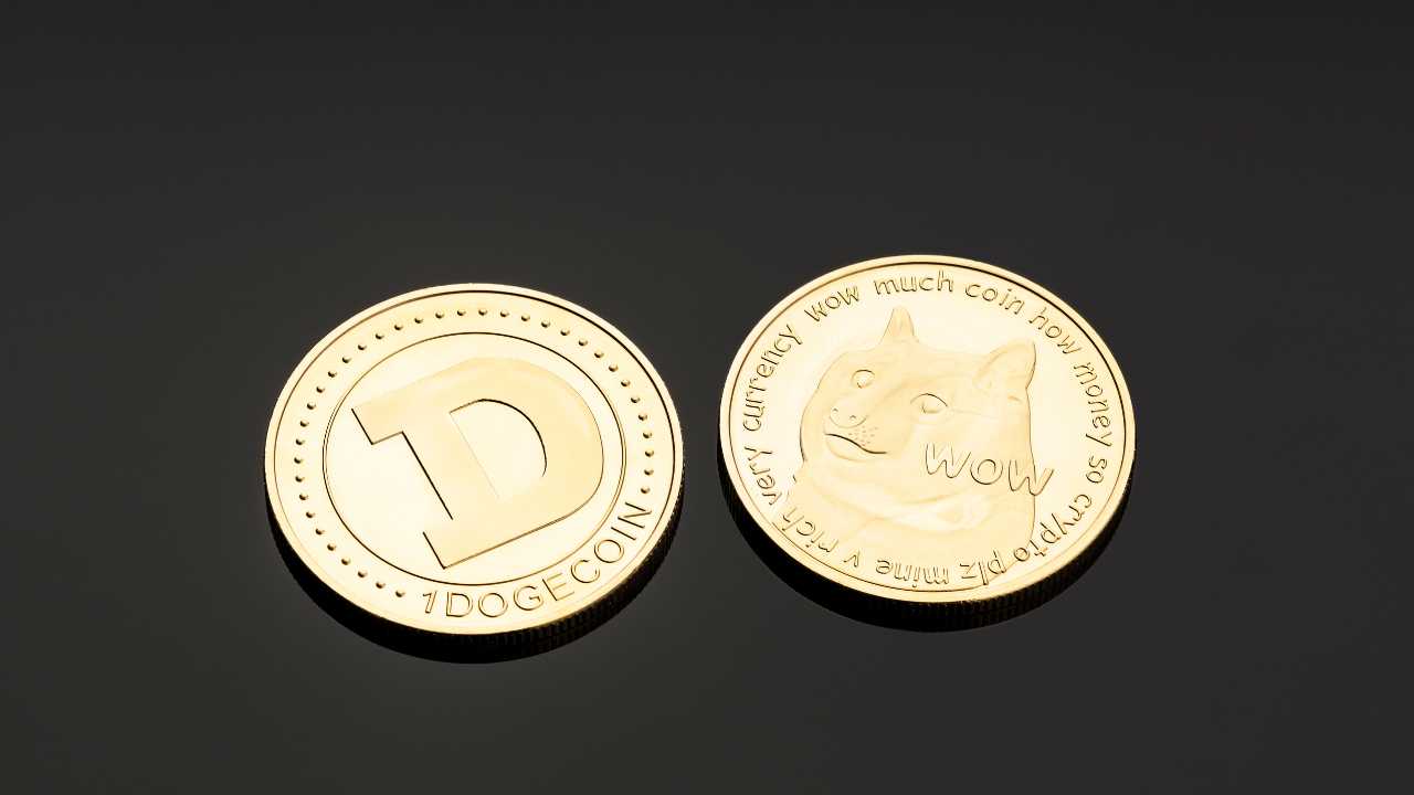 Two Dogecoin tokens side by side on a dark surface