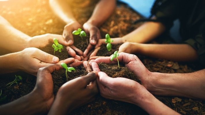 a group of hands planting seedlings in the soil, which could symbolize teamwork, community involvement, and the collective effort required for environmental protection and agricultural sustainability