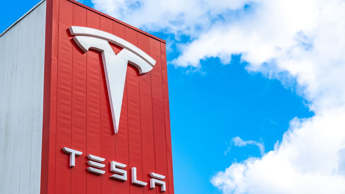 Tesla led the slide with a 14% drop